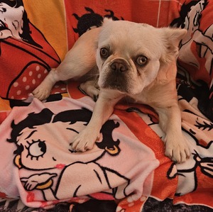 Fundraising Page: Maritza Noah